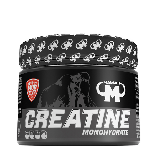 CREATINA MONOHIDRATADA - 300g
